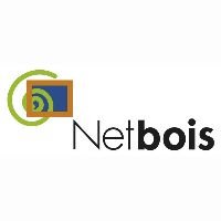 Logo Netbois Consulting