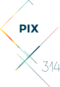 Logo Pix 314